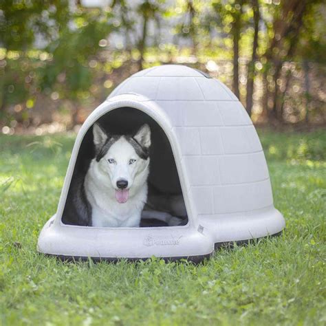 The Petmate Indigo Dog House: Your Dog's Dream Home