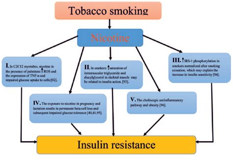 The Physiology of Nicotine-Induced Dehydration