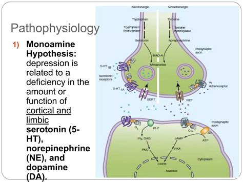 The Physiology of Sadness