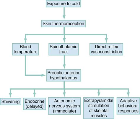 The Physiology of Sheer Cold