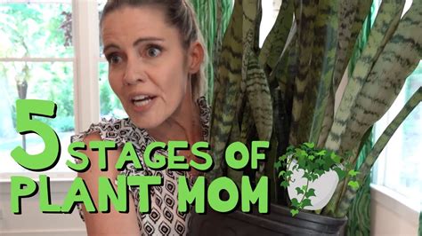 The Plant Mom Movement