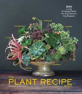 The Plant Recipe Book 100 Living Arrangements for Any Home in Any Season PDF