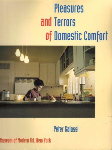The Pleasures and Terrors of Domestic Comfort Reader