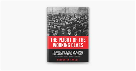 The Plight of the Working Class