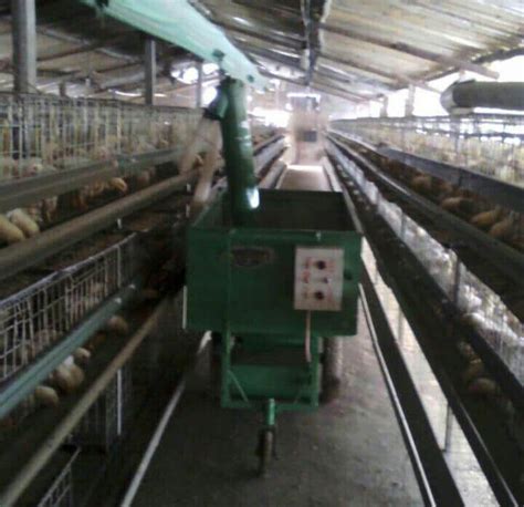 The Poultry Feed Machine Revolution