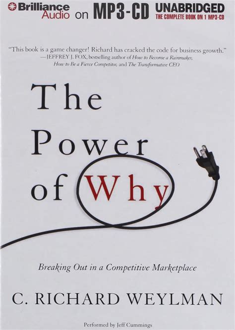 The Power Of Why Breaking Out In A Competitive Marketplace PDF