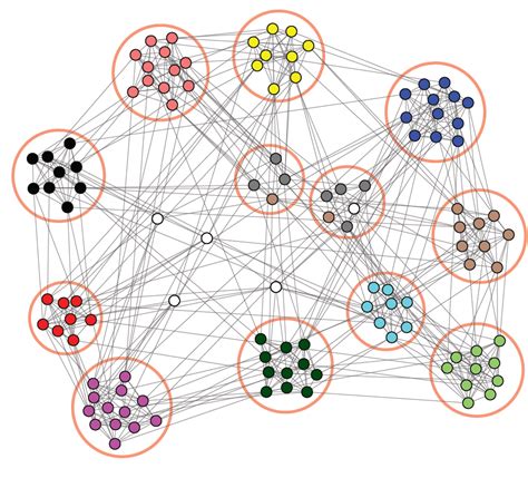 The Power of Complex Networks