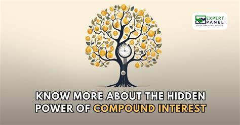 The Power of Compound Interest: A Path to Financial Freedom