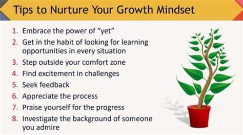 The Power of Embracing a Growth Mindset in the Workplace: A Comprehensive Guide