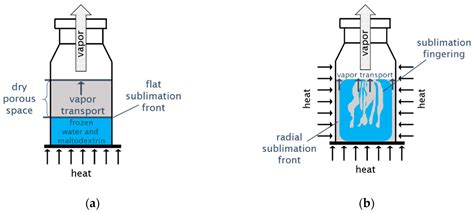 The Power of Freeze-Dry: Shattering Water Resistance