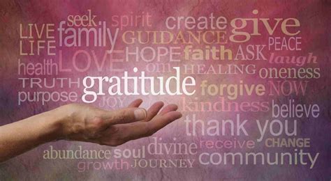 The Power of Gratitude