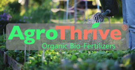 The Power of Organic: Unveiling AgroThrive's Key Benefits