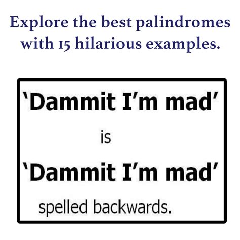 The Power of Palindromes