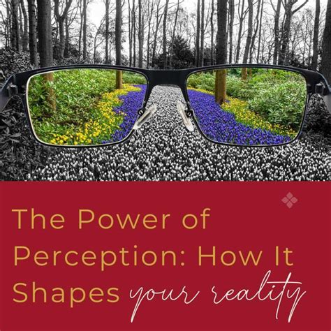 The Power of Perception