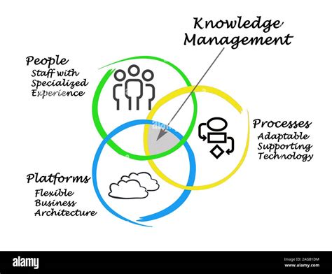 The Power of Professional Knowledge Management with pkfstudio