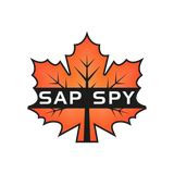 The Power of SAP Spy