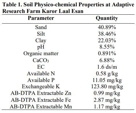 The Power of Sulphate of Potash: Unleashing Exceptional Yields