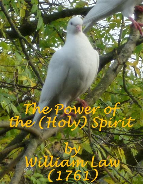 The Power of the Holy Spirit Introduction by Rev Andrew Murray Kindle Editon