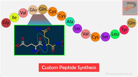 The Practice of Peptide Synthesis Reader
