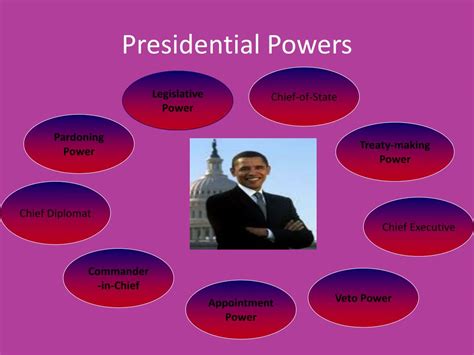 The President's Powers