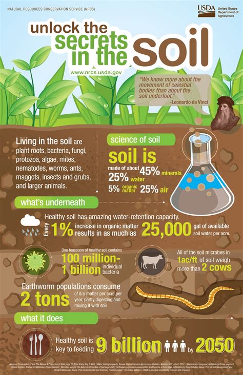 The Pressing Need for Soil Health Improvement