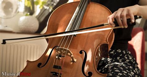The Price of a Symphony: Exploring the Cost of a Cello