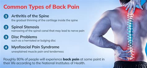 The Problem: Chronic Back Pain