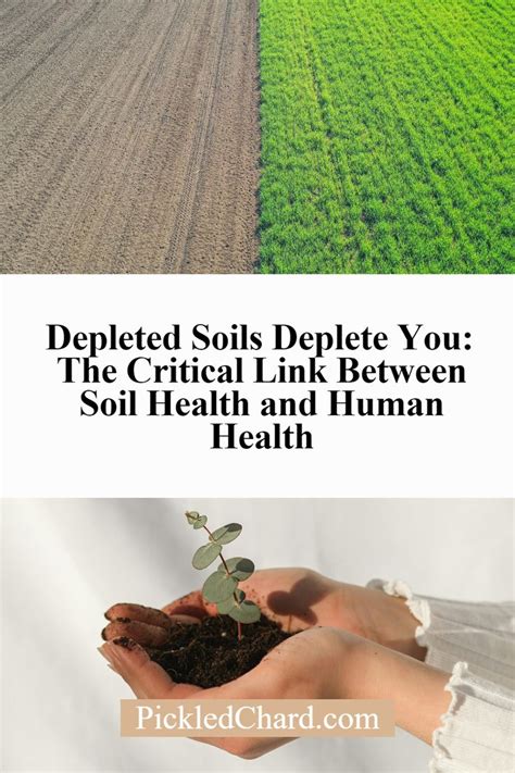 The Problem: Depleted Soil Health