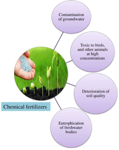 The Problem: Soil Degradation and Chemical Fertilizers