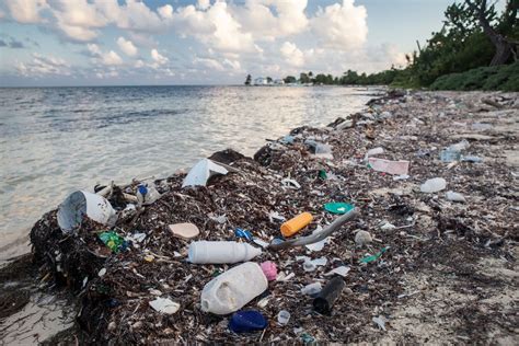 The Problem of Plastic Waste