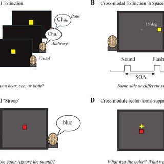 The Profound Fink Effect: Unveiling the Power of Cross-Modal Interference