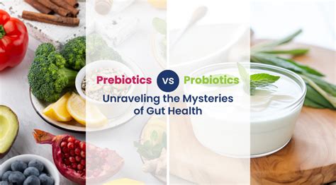 The Profound Impact of Probiotics: Unraveling the Secrets of Gut Health