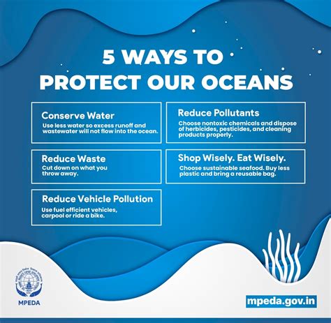 The Profound Importance of Protecting Our Pureoceaneyes