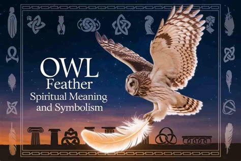 The Profound Symbolism of Owl Wings