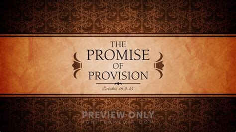 The Promise of Provision Reader