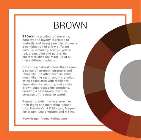 The Psychology Behind Chocolate Brown