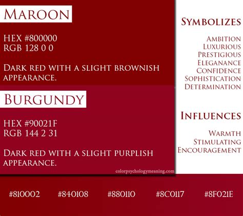 The Psychology of Burgundy