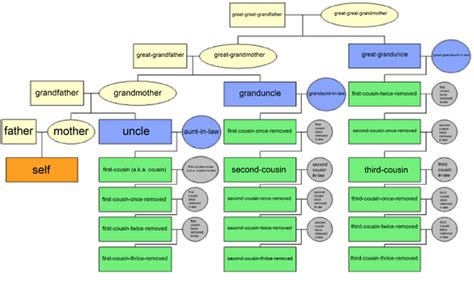 The Psychology of Cousins