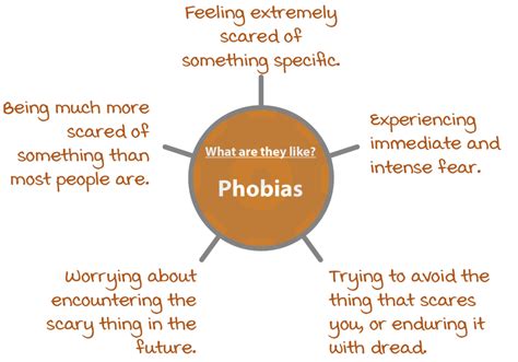 The Psychology of Phobias