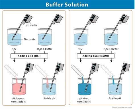 The Purpose Of Preparation And Properties Buffer Solutions Lab Reader