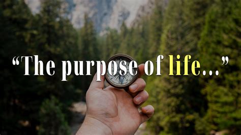 The Purpose of Life 28 Powerful Reader