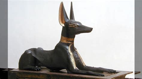 The Pyramid's Canine History