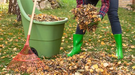 The Quintessential Lawn Care Essential