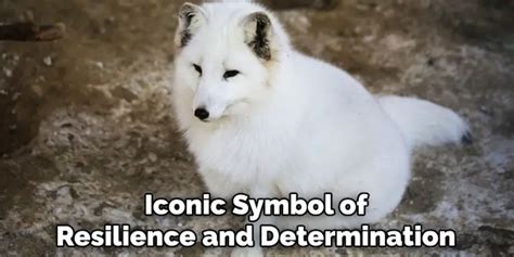 The RWBY Fox: A Symbol of Resilience and Determination