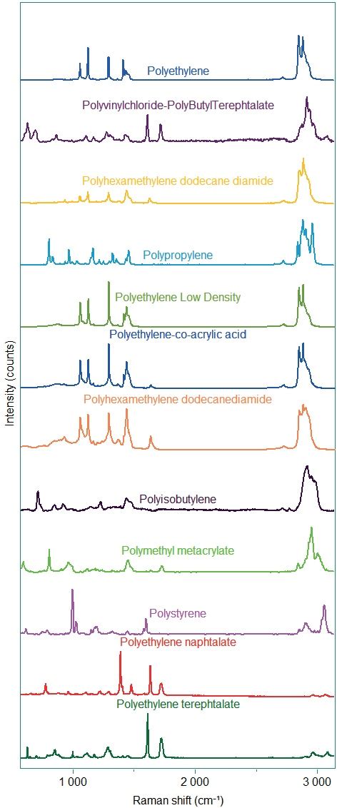 The Raman Spectra of Polymers Epub