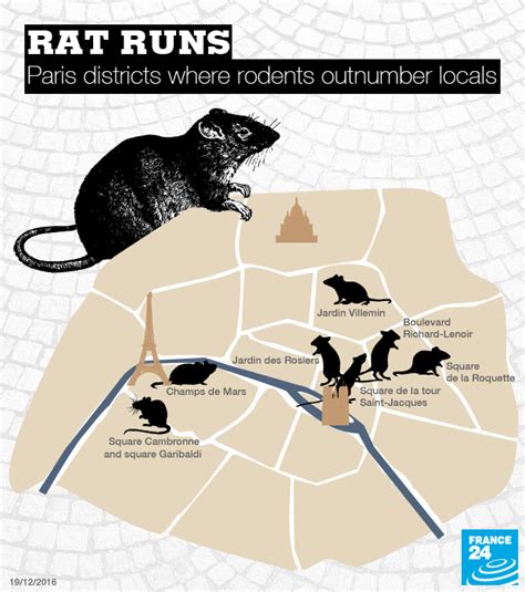 The Rat Binghamton: A Comprehensive Exploration of the City's Rodent Population