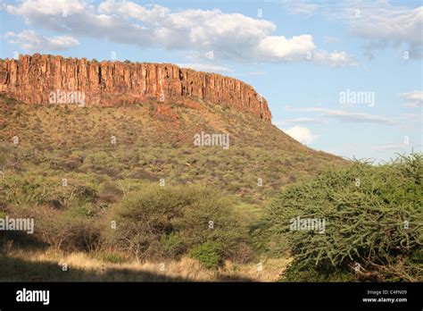 The Realm of Savanna Plateaus