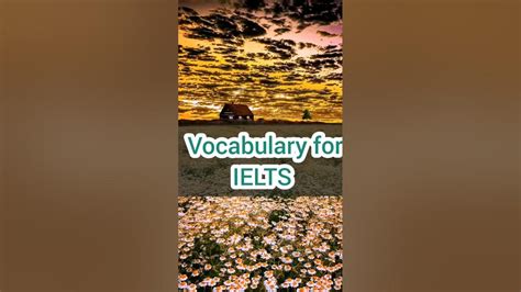 The Rebecca Crow Guide: Unleashing the Power of Vocabulary for IELTS Success