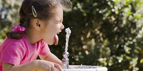 The Refreshing Benefits of Drinking Bubblers: A Guide to Hydration and Health