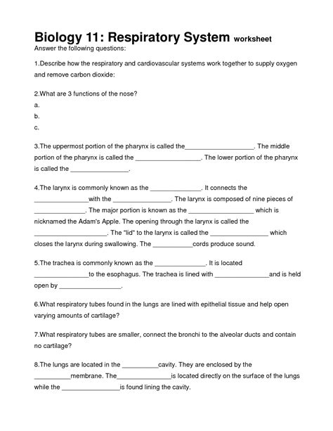 The Respiratory System Worksheet Answers Epub